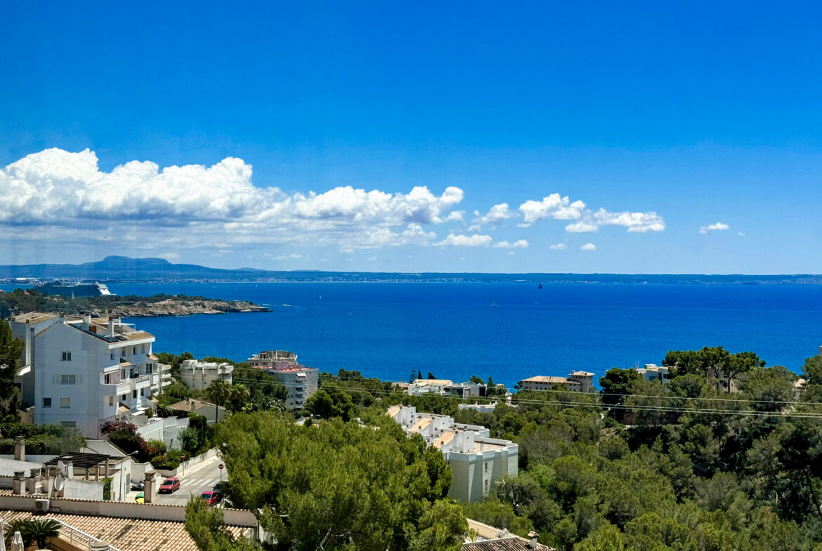 An image of a luxury apartment with a stunning sea view. The apartment features sleek, modern design with floor-to-ceiling glass windows that open to a spacious balcony. The balcony is furnished with elegant outdoor seating, perfect for enjoying the panoramic ocean vista. The shimmering blue sea stretches to the horizon, creating a serene and opulent atmosphere.