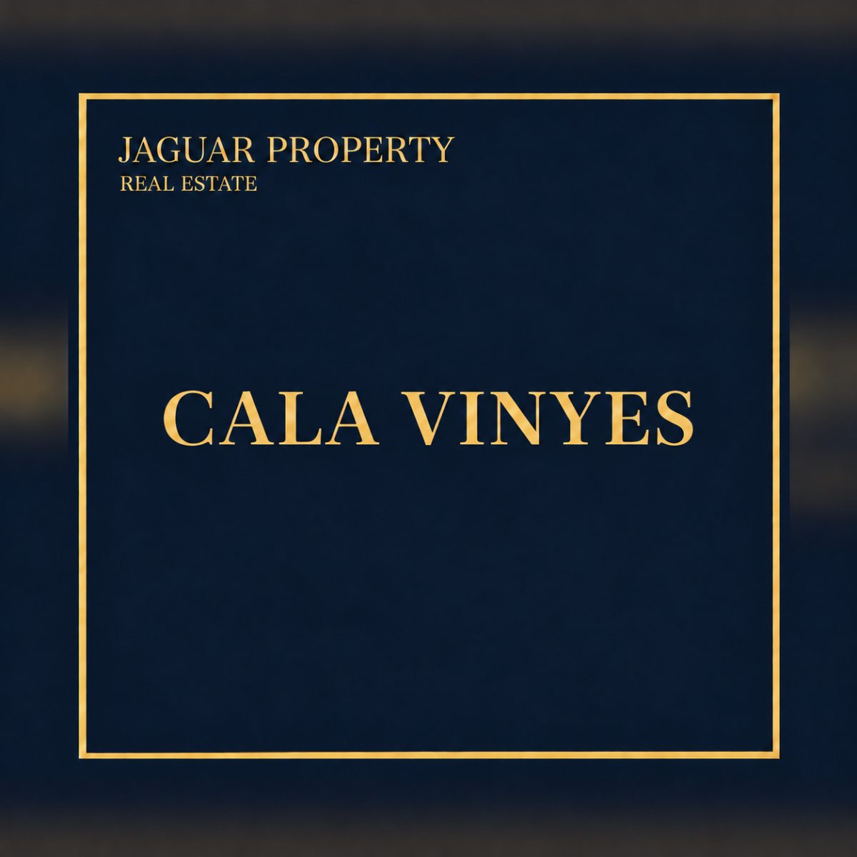 Cala Vinyes — Jaguar Property Immobilien