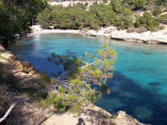 Turquoise water at Platja del Rei in Portals Vells