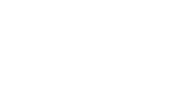 Raoul Wallenberg International School – Logo