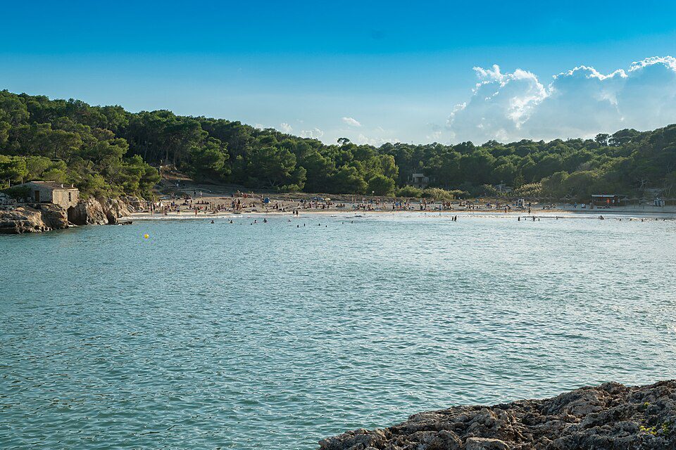 S’Amarador beach and its wooded surroundings